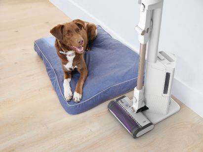 Deep-clean all floors