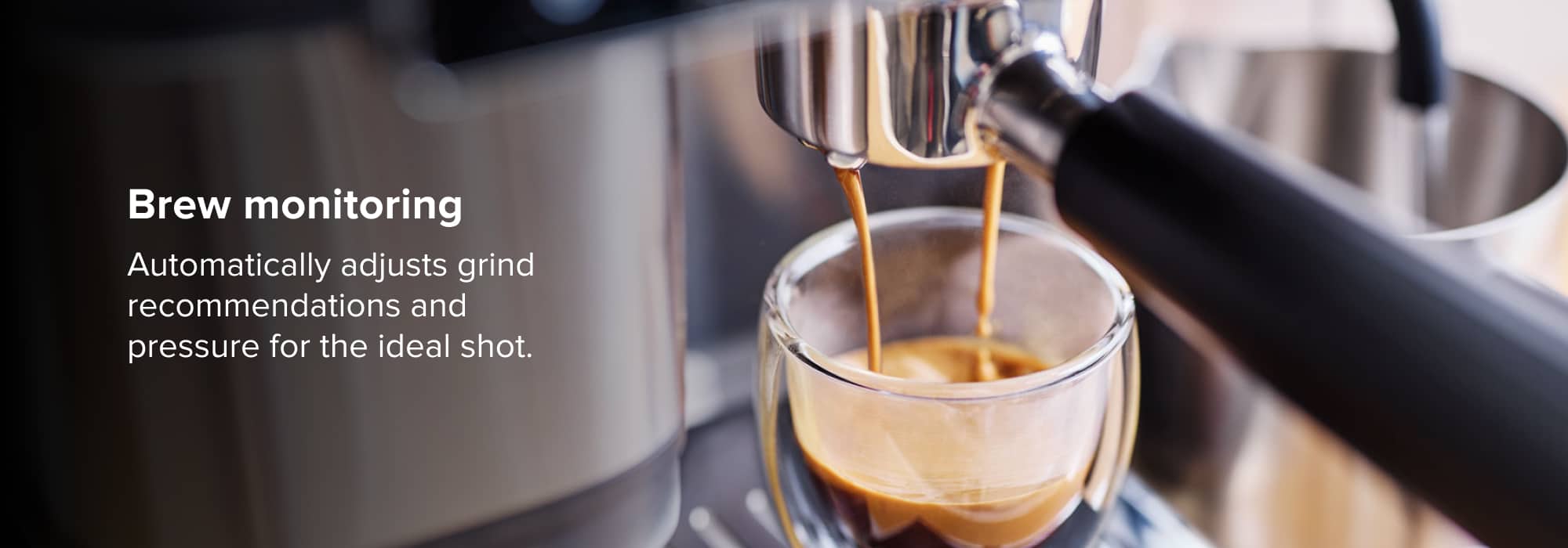Brew monitoring