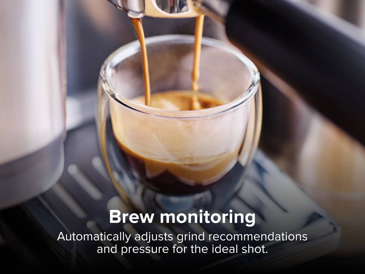 Brew monitoring