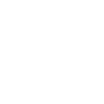 Light Bulb