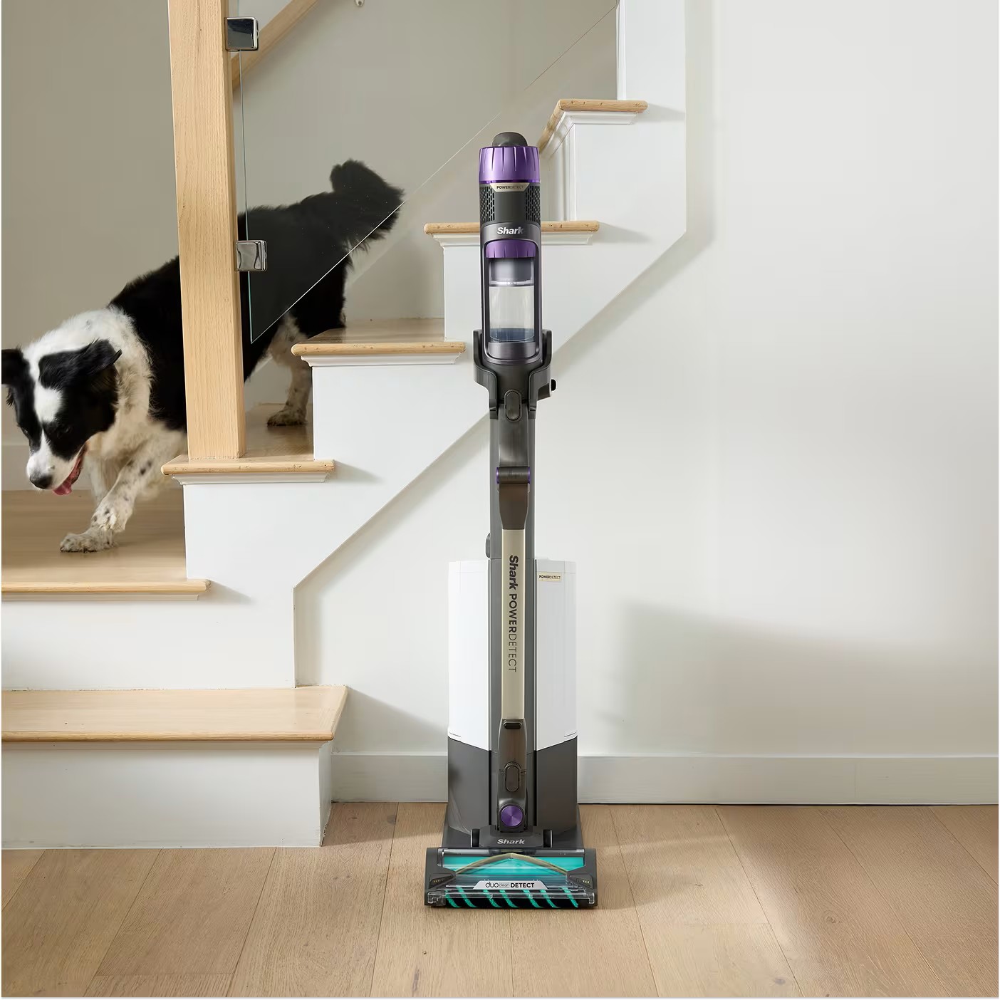 Empties and charges after every clean