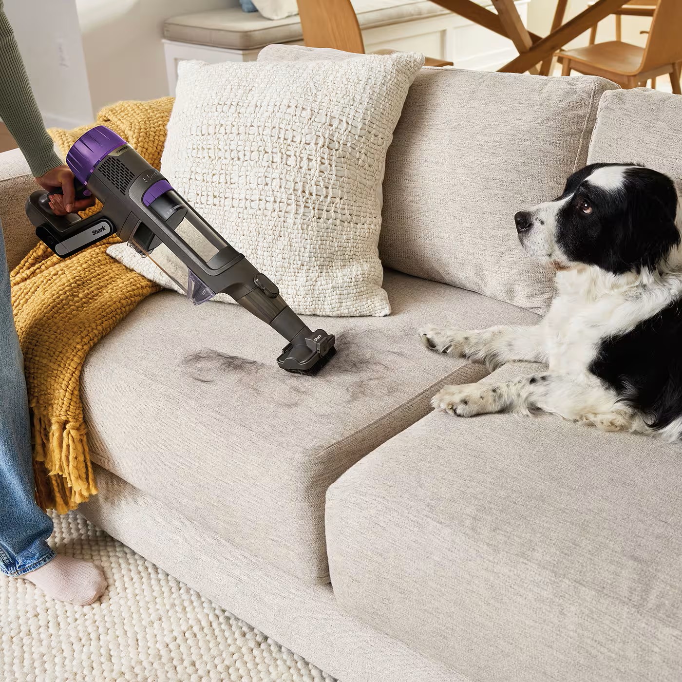 Perfect for homes with pets